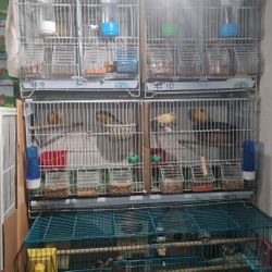 Breeding Cage