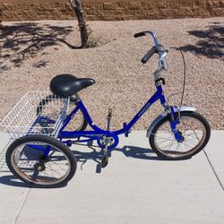 Kent 20in Adult Fold Bike 