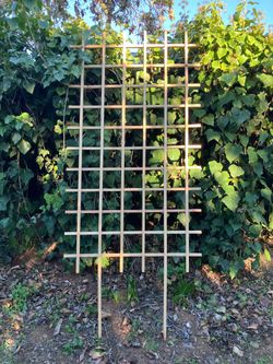 Trellis 38”x68” NEW!