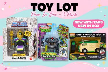 TMNT & Masters of the Universe Toy Bundle