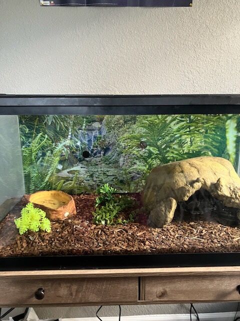 Pet Enclosure