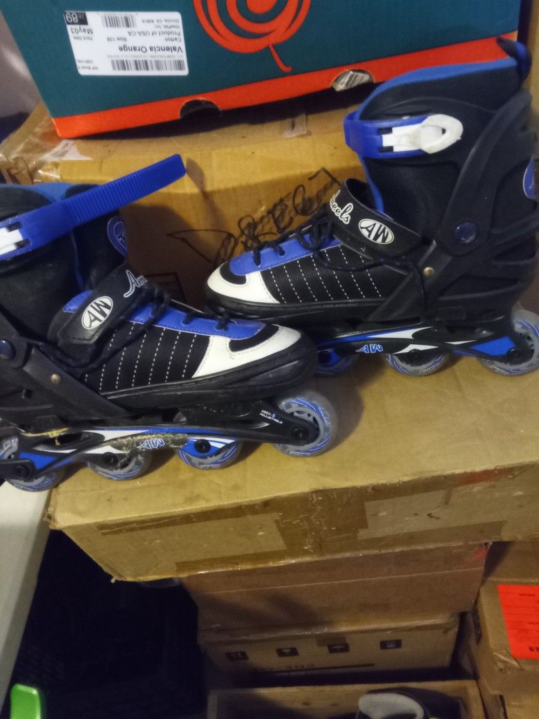 Roller Blades One Size Fits All