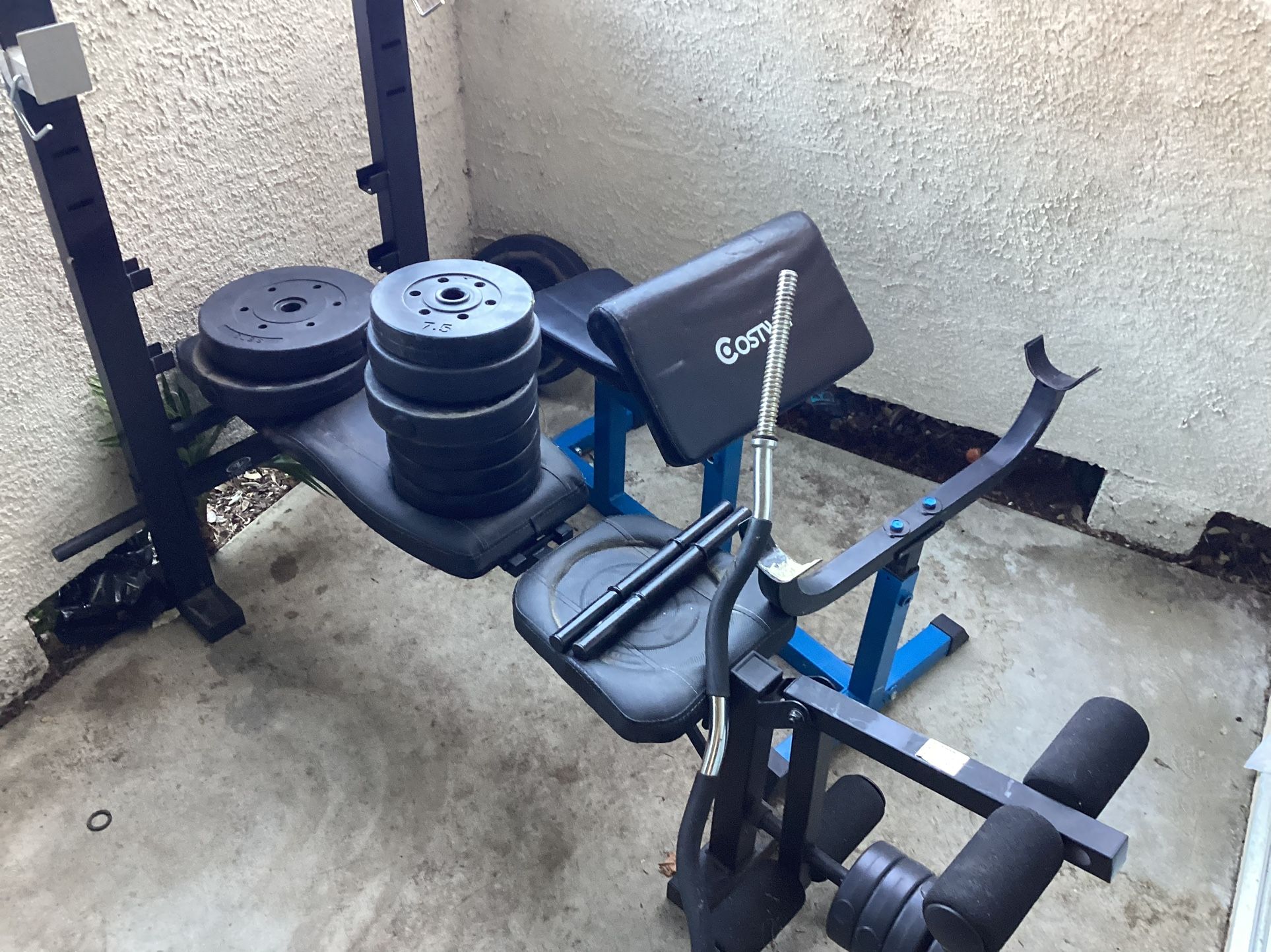 Bench Press/ Arm Curl/ Leg Curl Bench