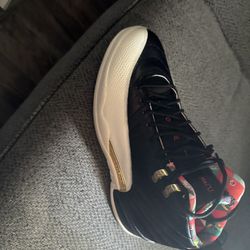 Jordan 12 New Year 