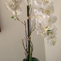 Pretty white faux orchid plant