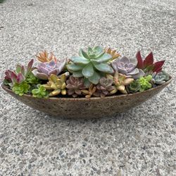 Colorful Succulent Arrangement In Fall Planter