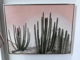 World Market Oversized Framed Cactus Canvas Art – 48" × 36"