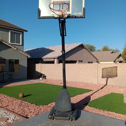 Basketball Rim