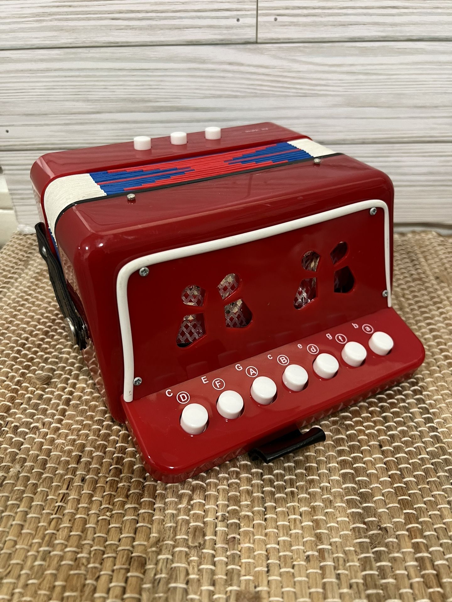 Kids Accordian Musical Instrument Toy