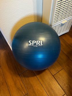 SPRI 55cm Exercise Ball