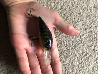 Crank bait fishing lure