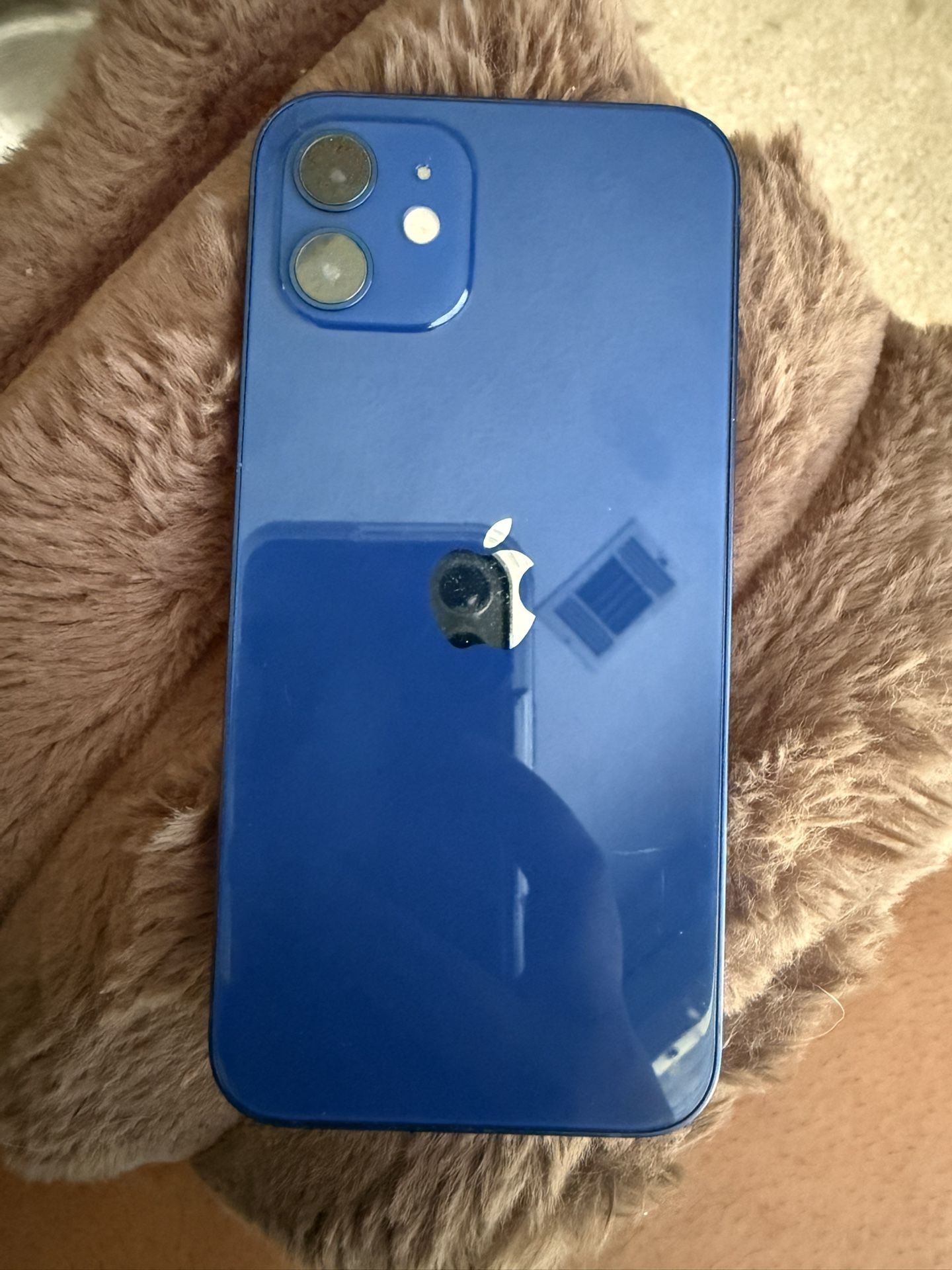 iPhone 12