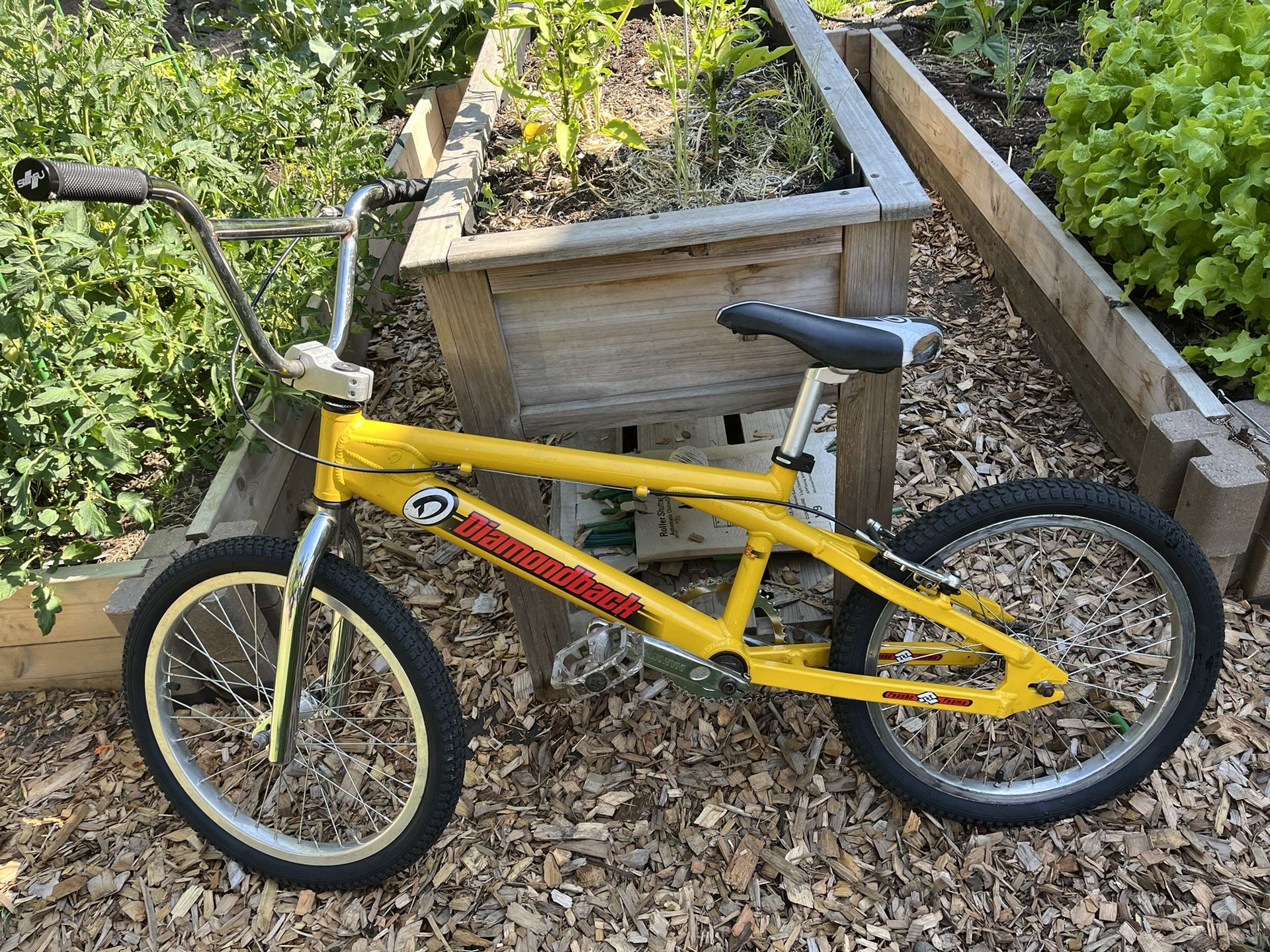 Diamondback assault Ex Bmx Bicycles Franko Frame Alloy 20"