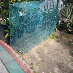 Blue Bird Cage 