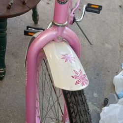 Schwinn Bike