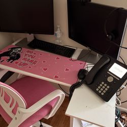 Computer Monitors & More 