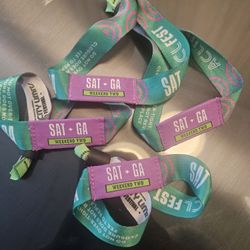 ACL WEEKEND 2 SATURDAY ONLY