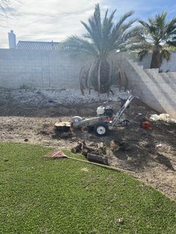 STUMP GRINDER & TREES