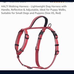 Halti Walkerking harnesses Dog