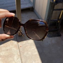Burberry  Sun Glasses