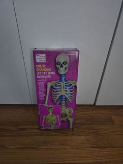 12 foot skeleton light kit