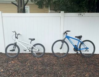 20 inch Spector BMX  and nishiki mountain bike