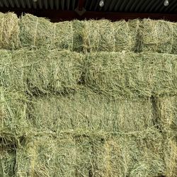 Alfalfa En Venta/ Hay For Sale 