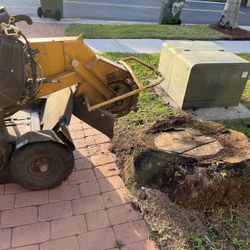 Stump Grinding Stump Removal 