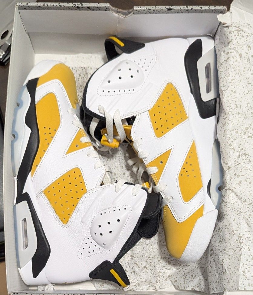 Air Jordan 6 Retro 'Yellow Ochre' Mens 10.5 (used) CT8529-170