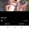 Shane Thiel