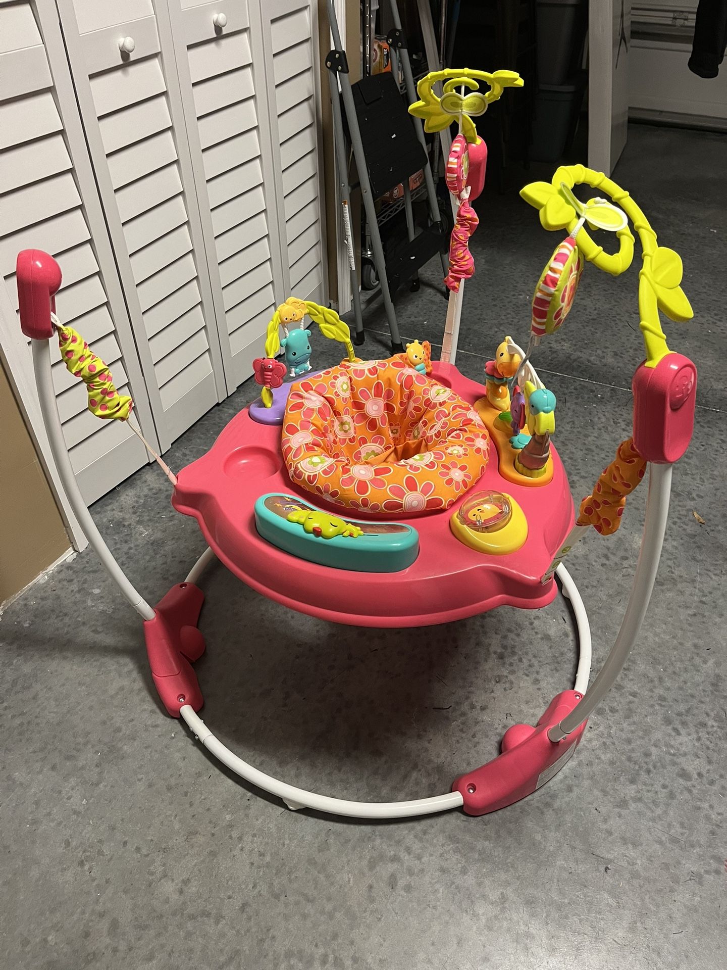 Fisher-Price Pink Petals Jumperoo