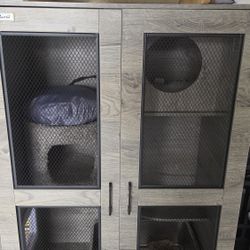 Cat Home