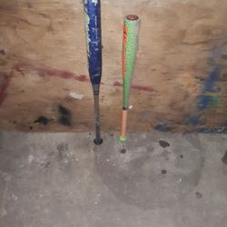 Bats