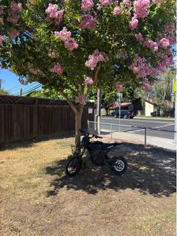 street legal trades(cemoto d02