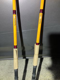 Fishing rod New