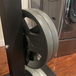 2 discs weider 25 pounds each