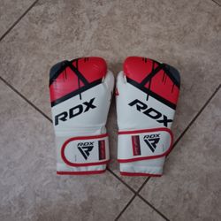 RDX Boxing Gloves 