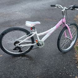 Trek Mt220 Mountain Bike 