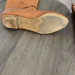 Steve madden shop catapult