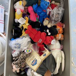 Entire Lot Of Misc. Plushies And Toys