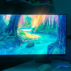 24inch 165hz 1080p Gaming Monitor 