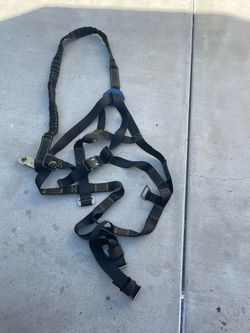 Body Harness with lanyard