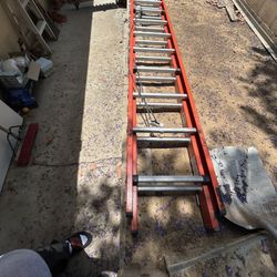 Werner Professional Ladder 