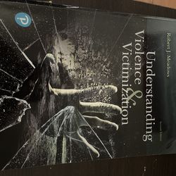 Understanding violence and victimization