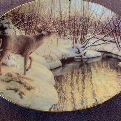 Bradford Exchange Plate “Twilight Approach”