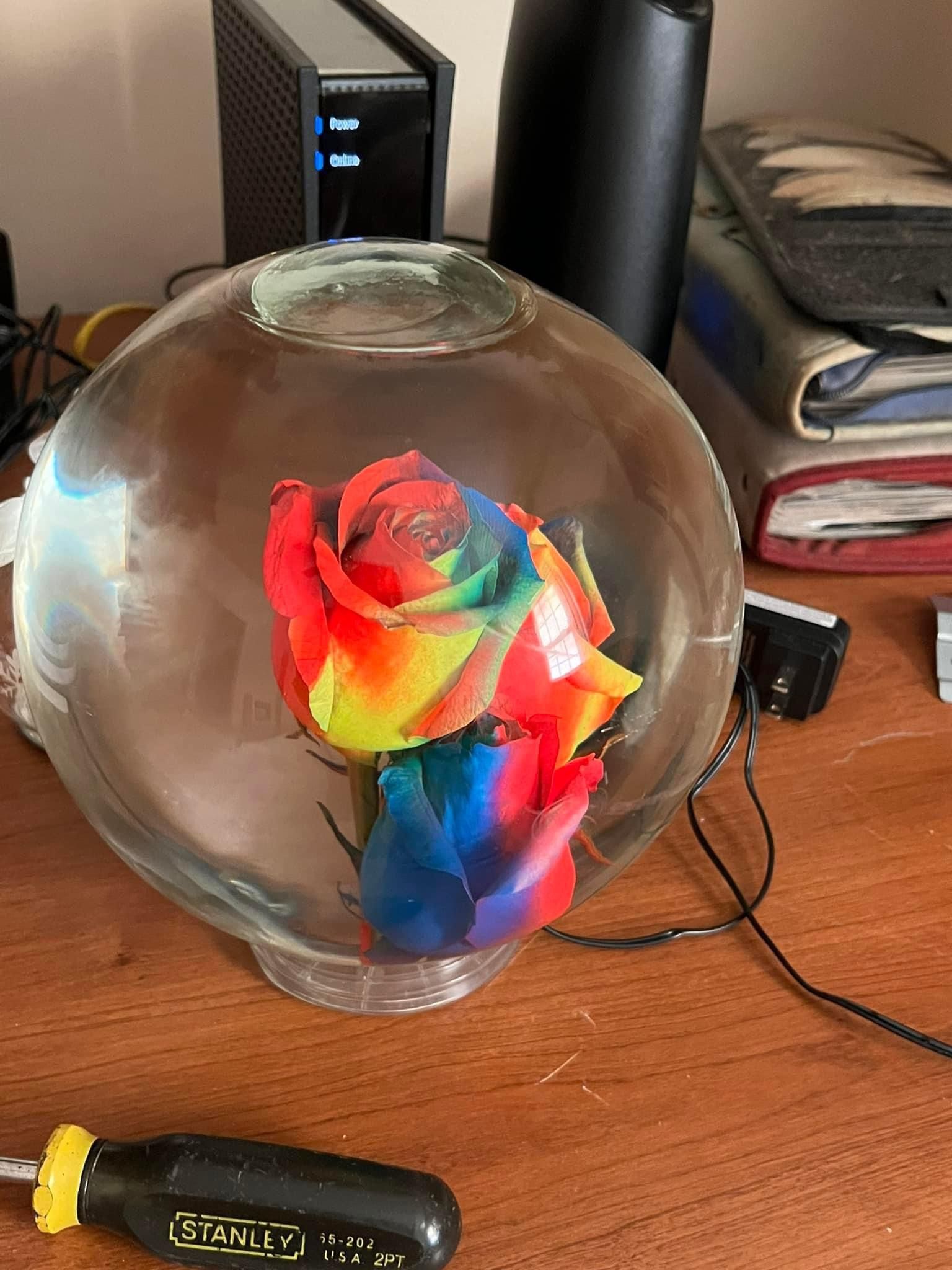 Forever Roses