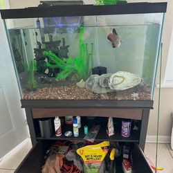 55 gal aquarium with stand