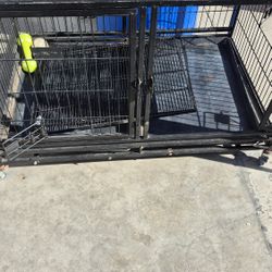 Cage Dogs