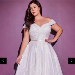 Cinderella Divine Glitter Ballgown Bridal Size 24