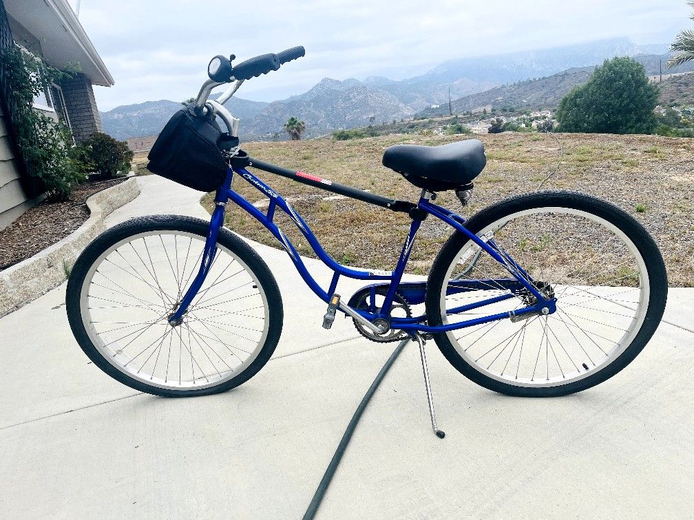 Schwinn Cruiser SS